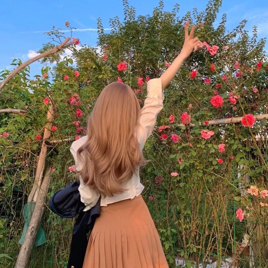 好莱坞以北海报