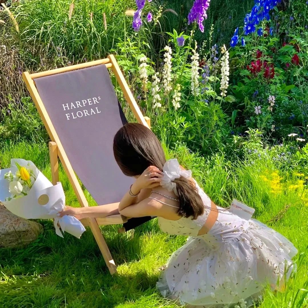大师之手海报