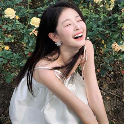 继承者计划海报